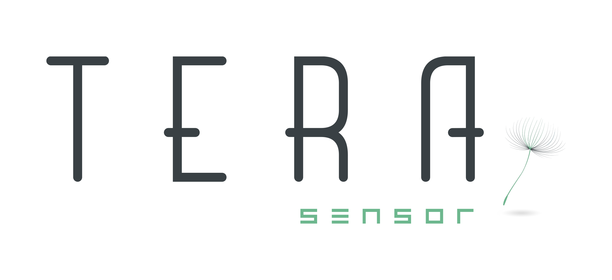 Logo TERA SENSOR